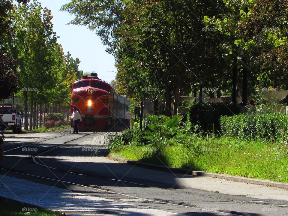 Road, Transportation System, Street, Travel, Car