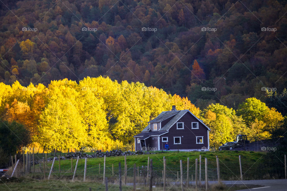 Autumn light. 