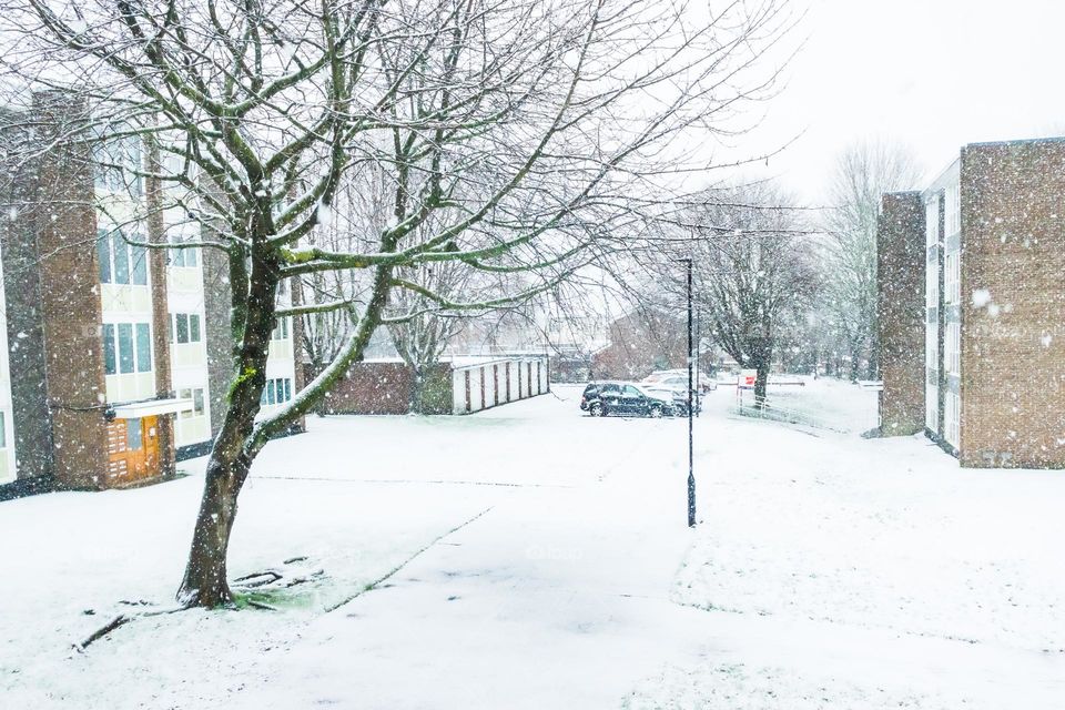 Snow from the window.