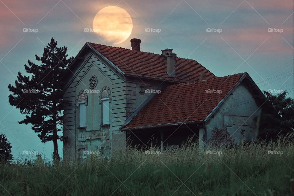 Old house and tree