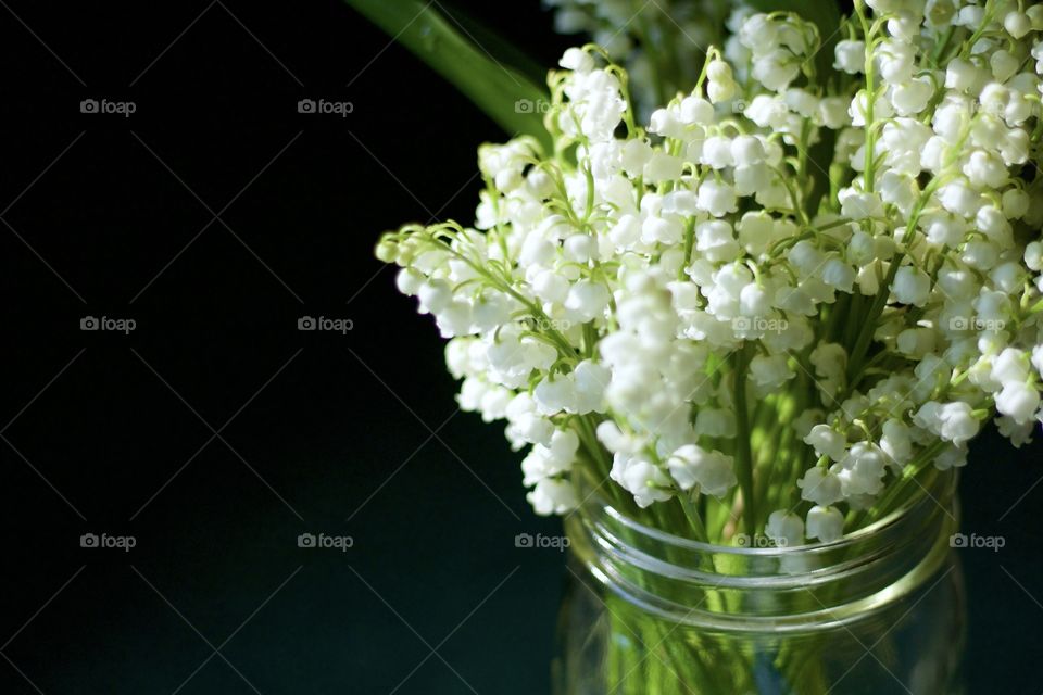 Isolated closeup of lily of the valley blossoms in a mason jar in sunlight