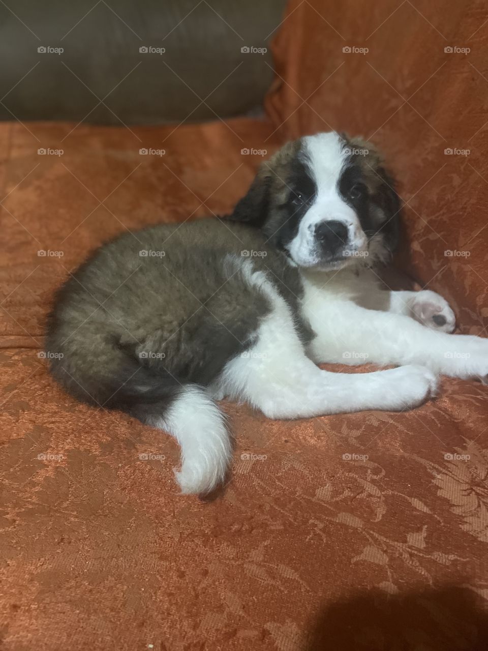 Look who’s on the couch 👀