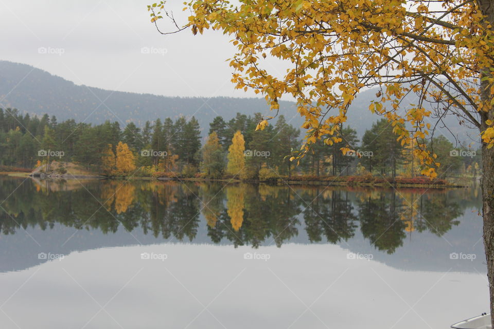 Autumnscolour around lake