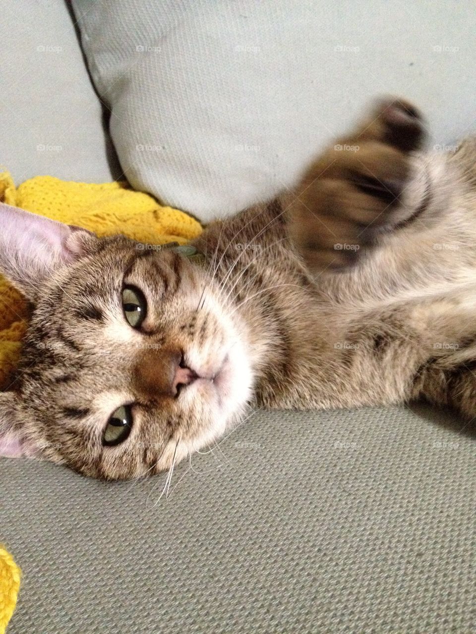 Doods' giving centerfold pose.