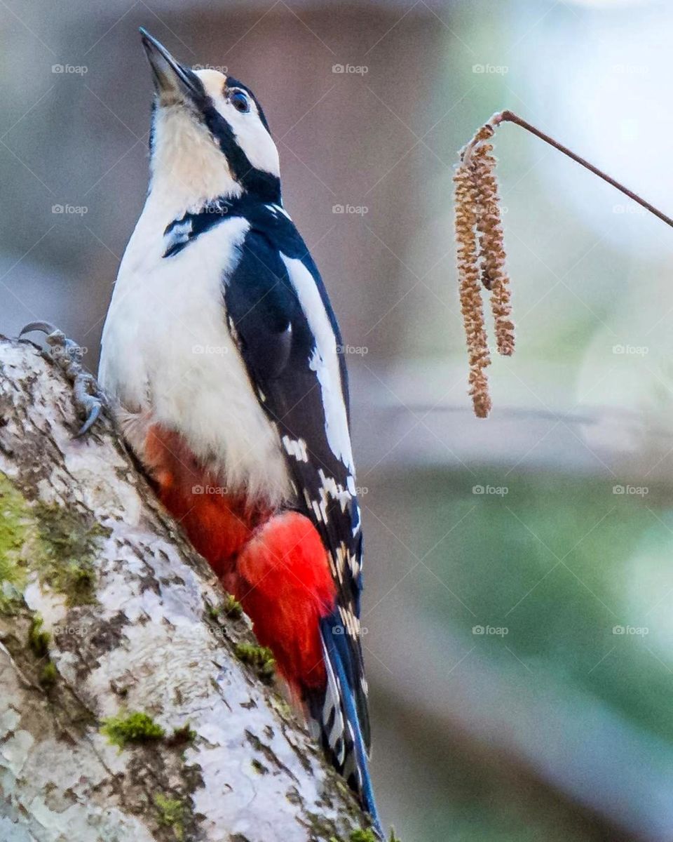 A bird sitting on a tree is never afraid of the branch breaking, because her trust is not on the branch but on her own wings.