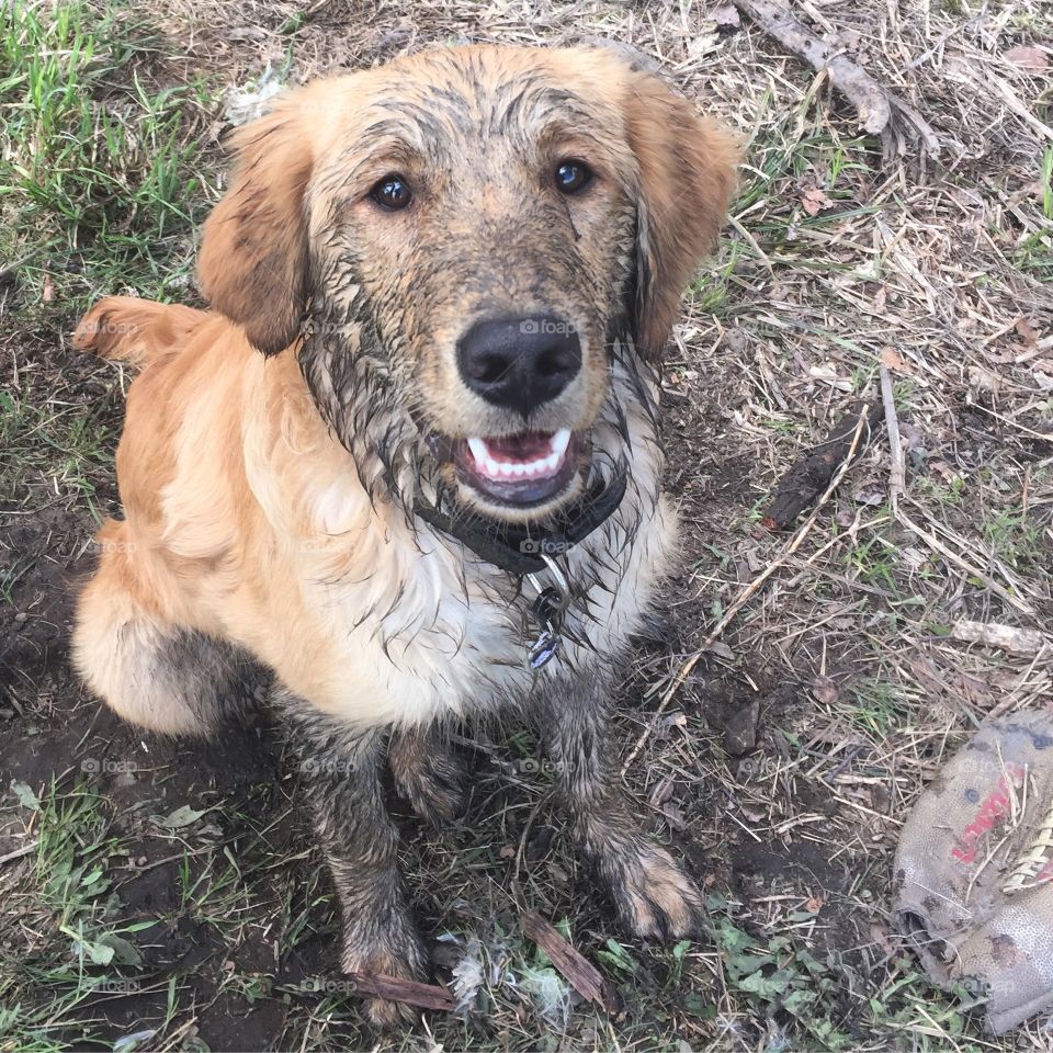 Mud face 