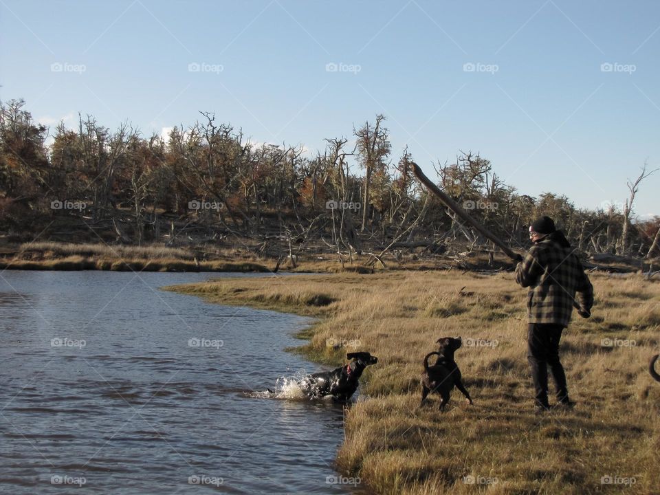 Playing with dogs on a sunny day