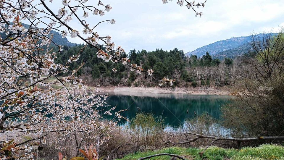 Tsivlos lake, Greece
*  It was created in 1913.the name of the lake comes from the village of Tsivlos which was partially submerged after the landslide in the bed of the river Krathis.Local tradition also calls it Mavrolimni for the evil it caused