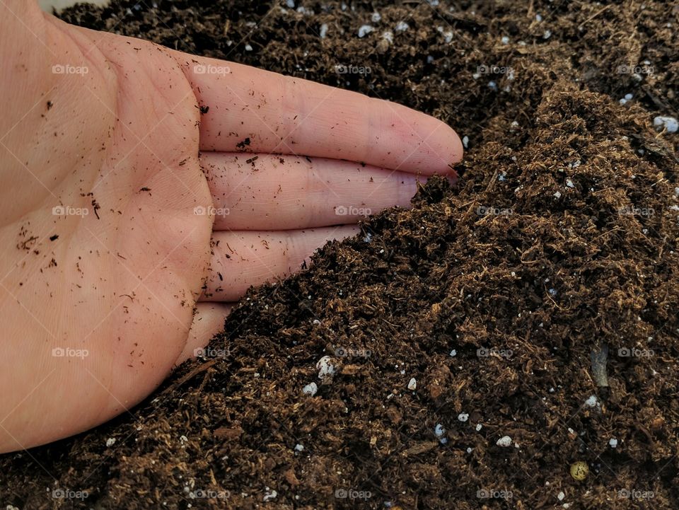 hand digging in potting soil