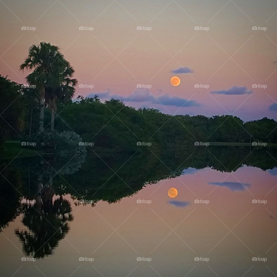 Symmetry on lake during sunset