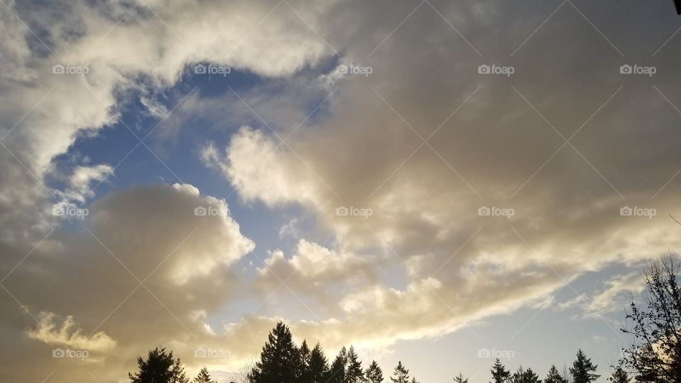 sunny sky 2018