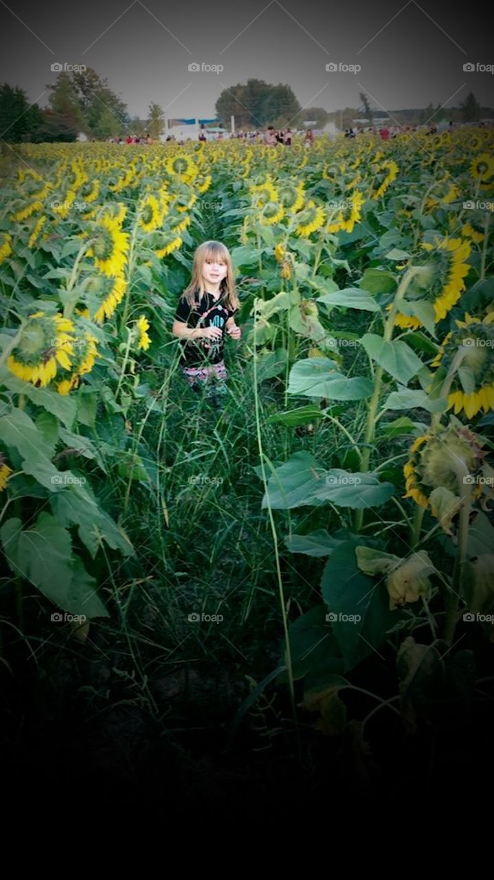 Hiding amongst the flowers 