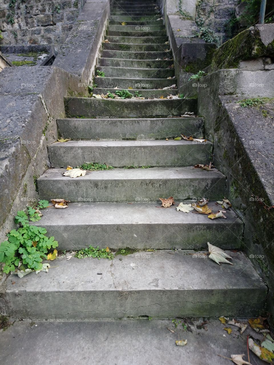 steps old