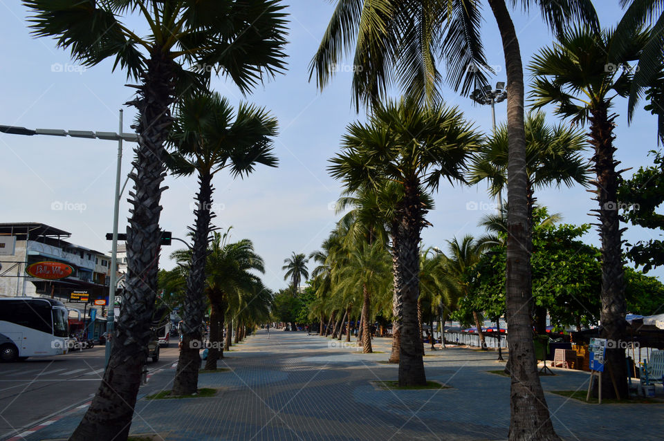 Pattya beach . travel to Bangkok 