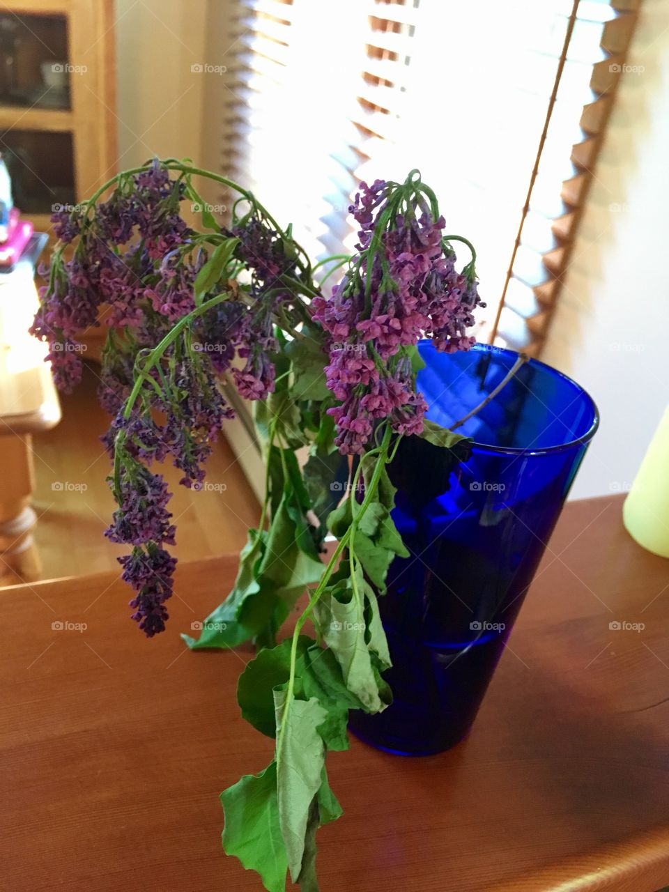 Wilting lilac flowers. Flowers for mommy from child. 