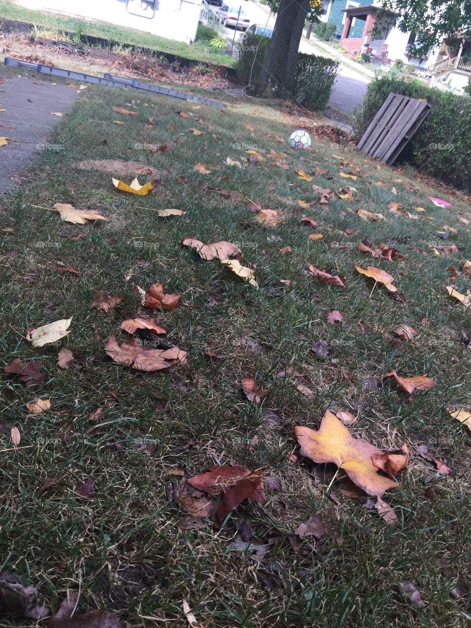 It's fall 