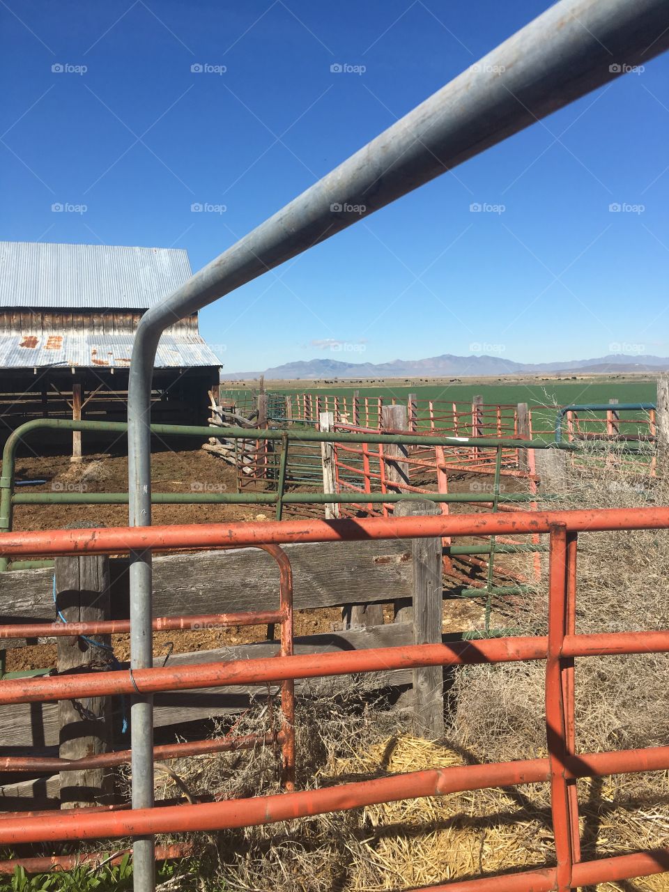 Orange farm fence. Beautiful view from the farm. Gate. 