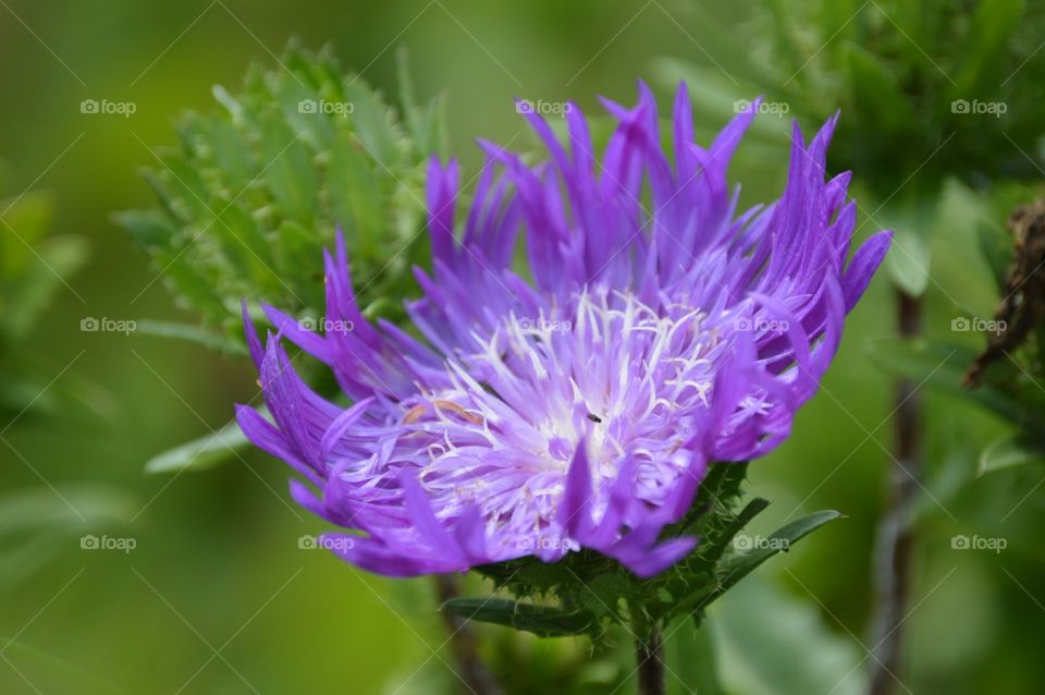 I'm ready for my close-up. 💜