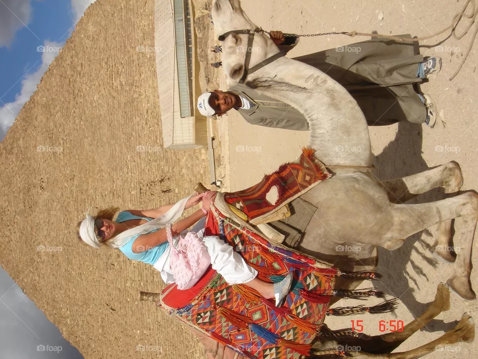 🐫