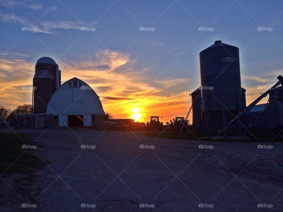 Farm Sunset. Dairy farm sunset