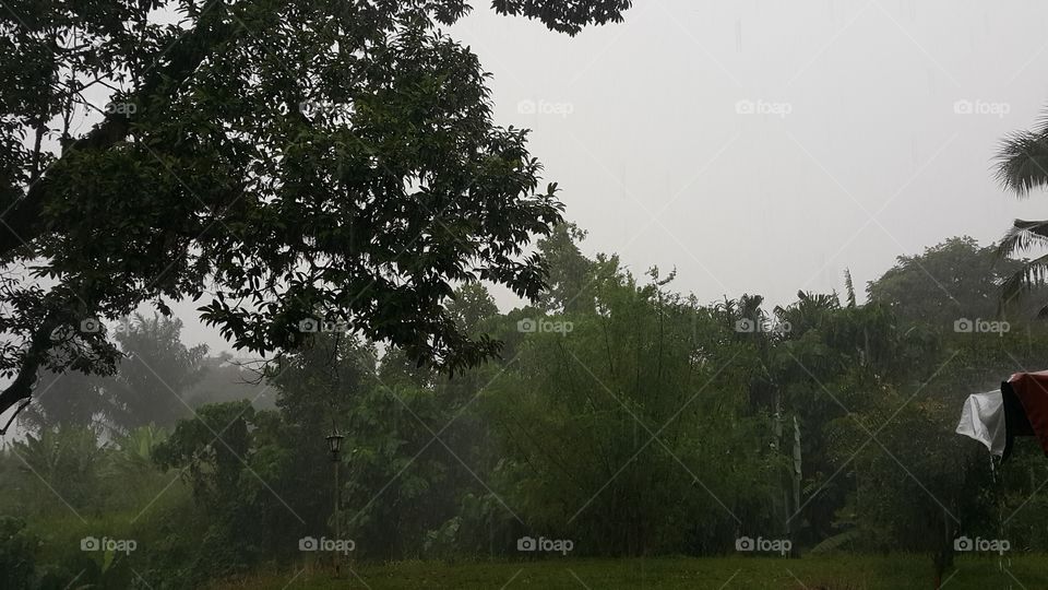 Raining in Malaysia