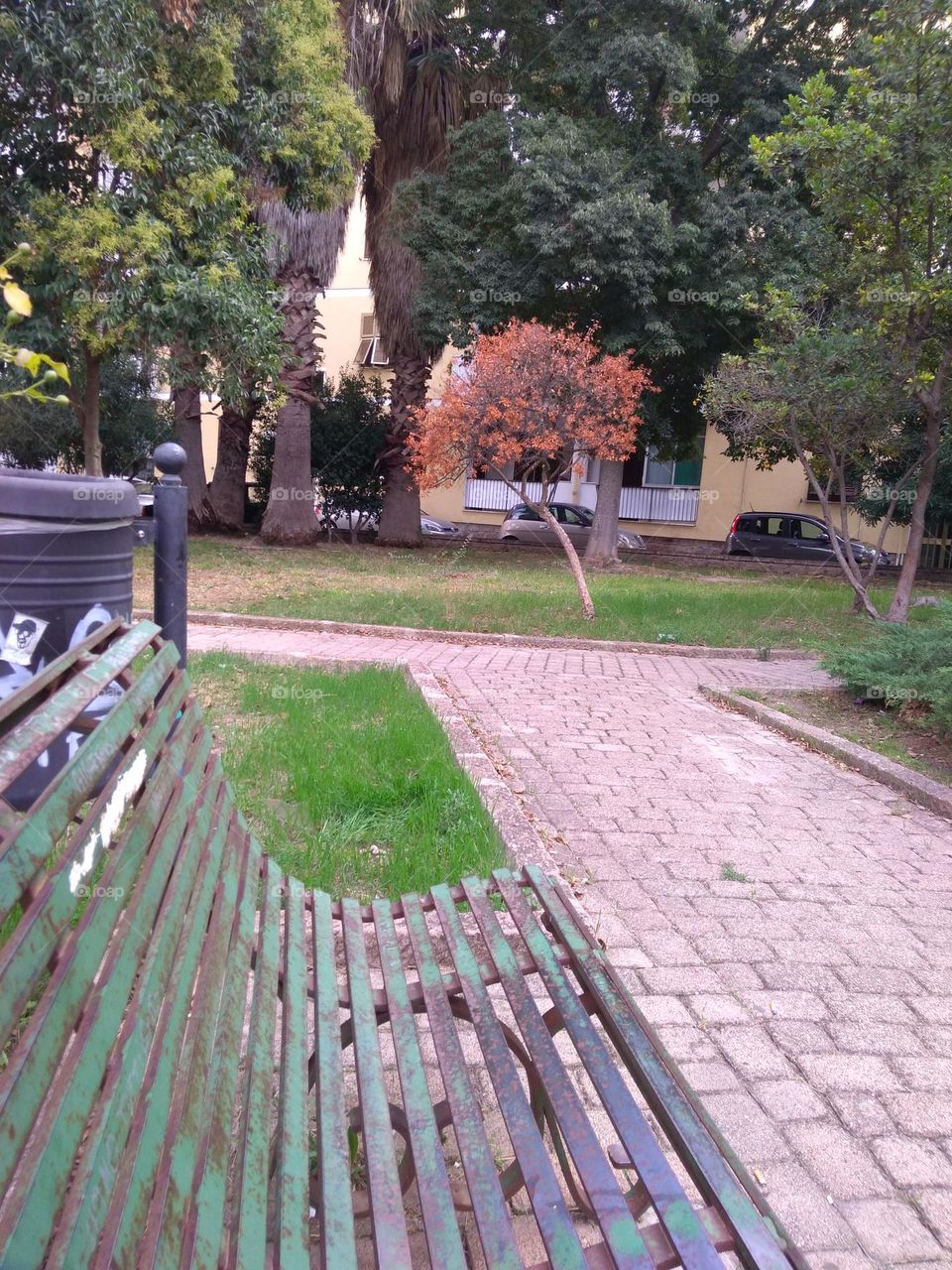 Best of 2021: Nature