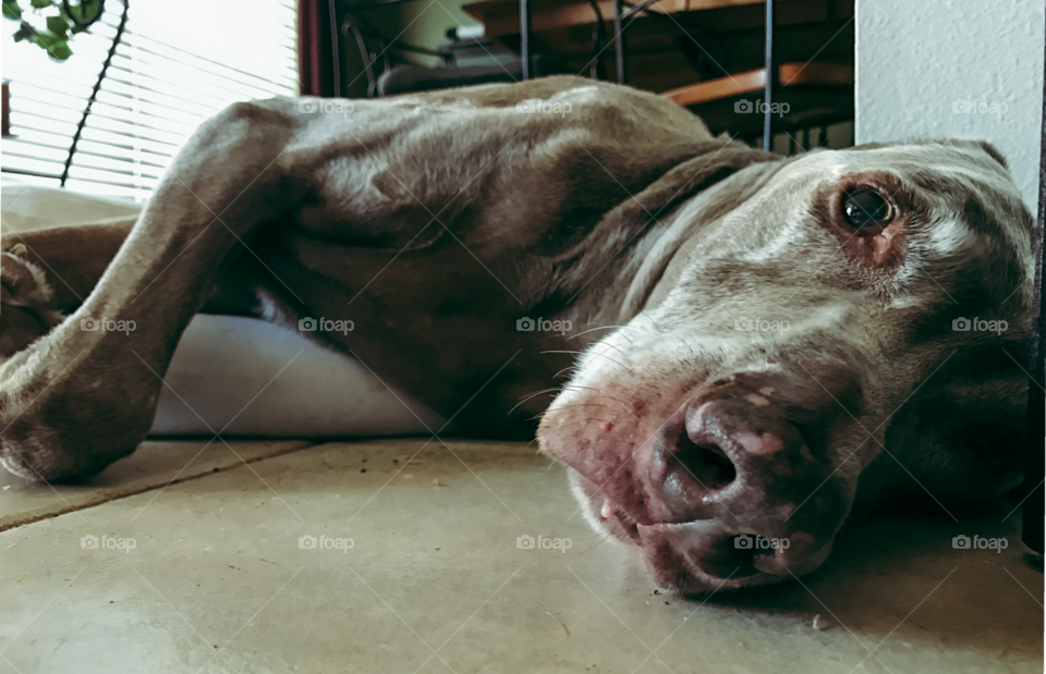 Why are you bothering me?