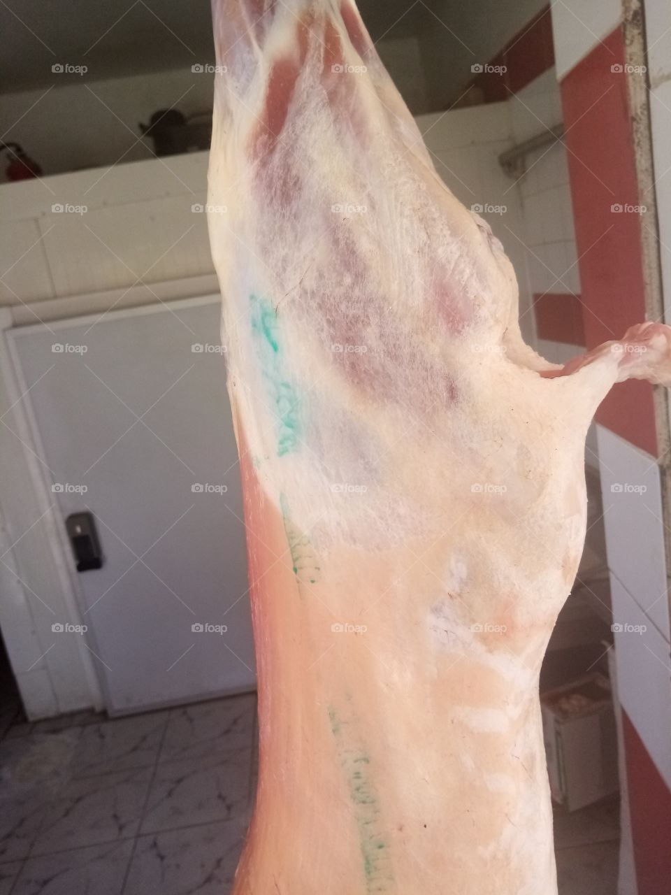 #meat #memory #butcher#beauty #stay #calm #lamb #tunisia