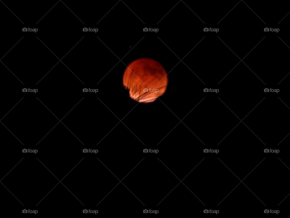 My photos of the Blood Moon, and tree - Total lunar eclipse on 15 May 2022 - Lunar eclipses occur when Earth aligns between the sun and the moon and casts a shadow across the lunar surface. The weather condition were very cloudy