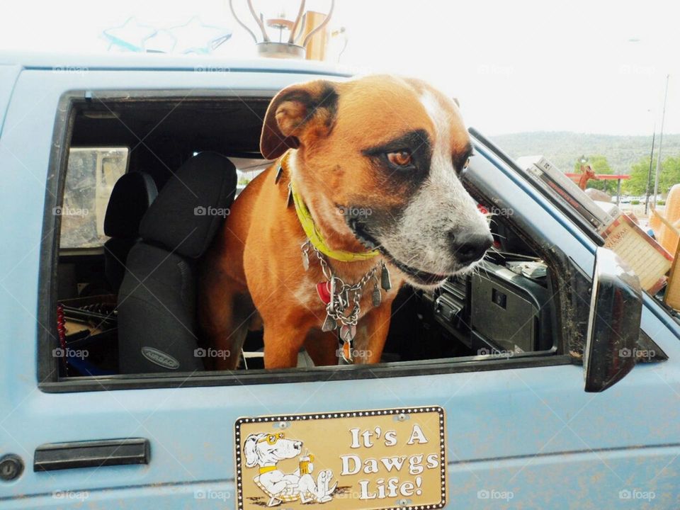 My pops and I are on a journey