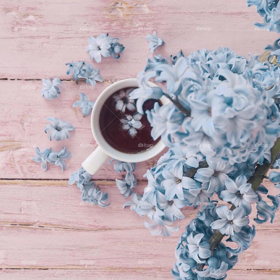 baby blue, pastel color, blue flowers, nice photo