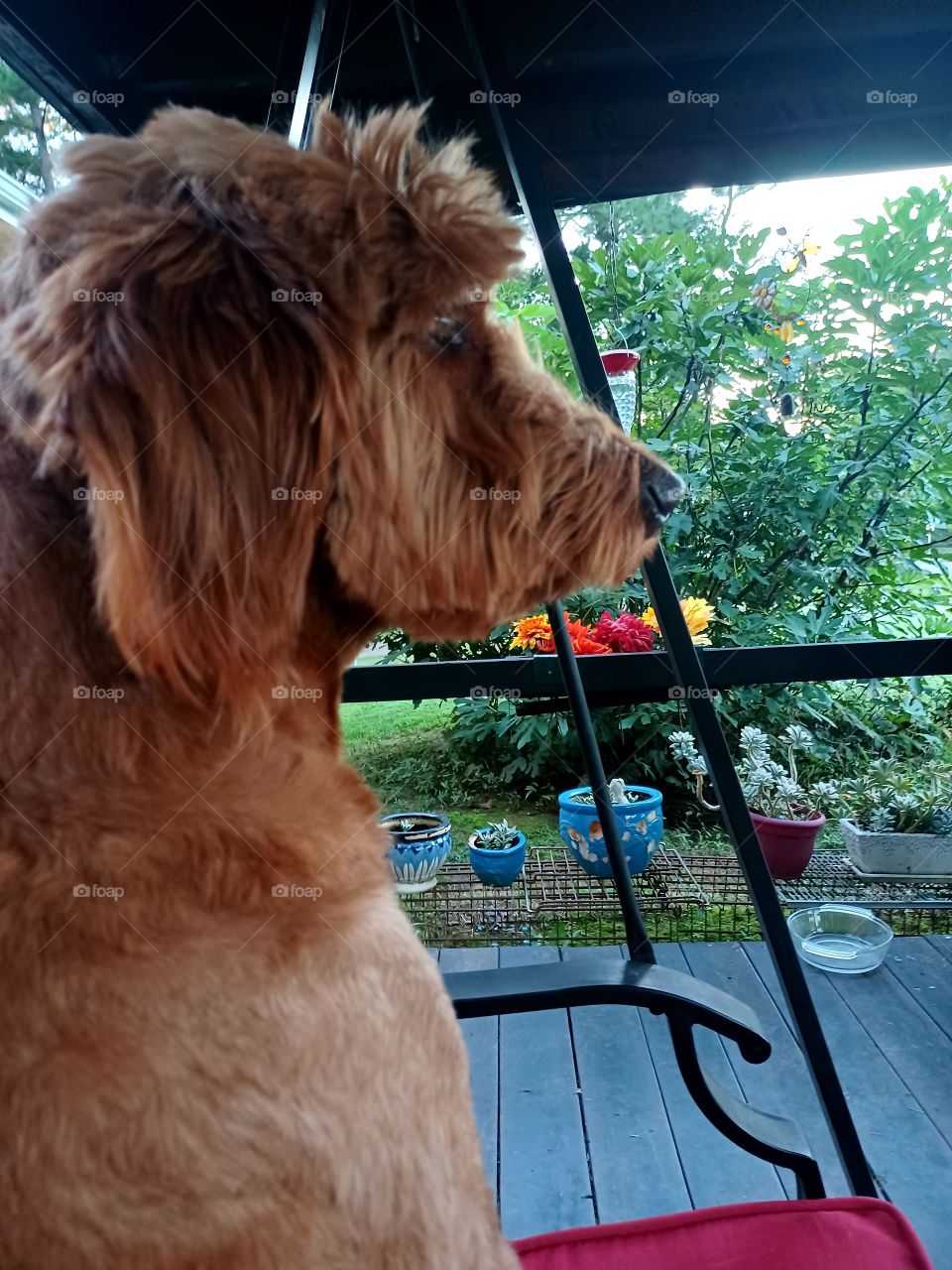 waiting for Marine brother to return