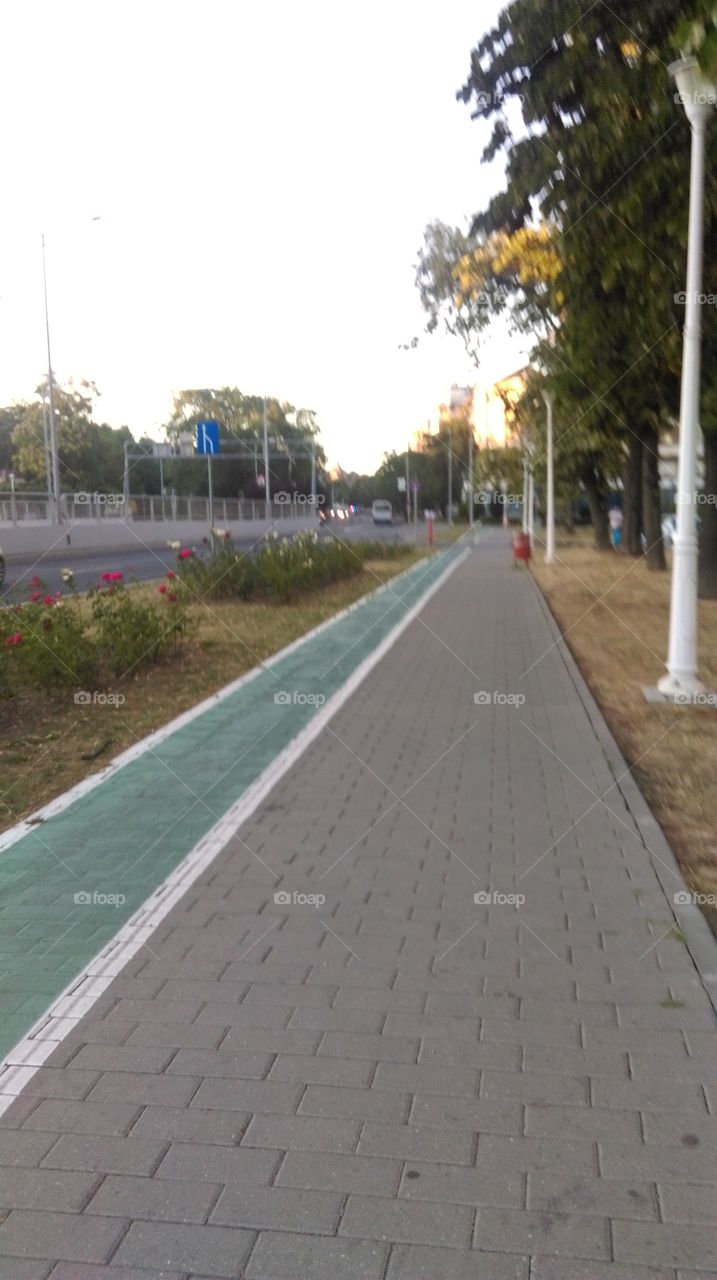 cycle road