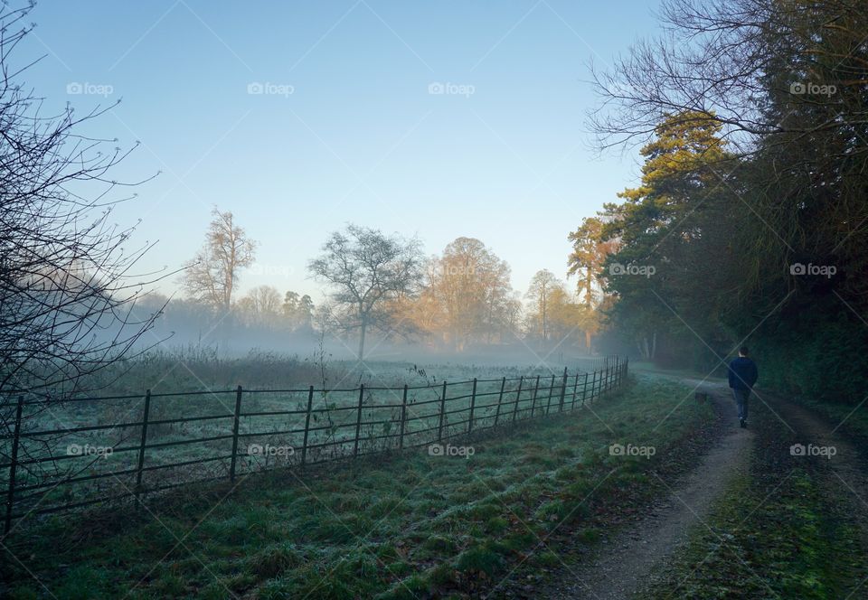 Crisp Winter Day