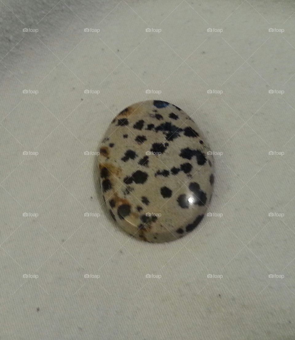 Dalmatian jasper
