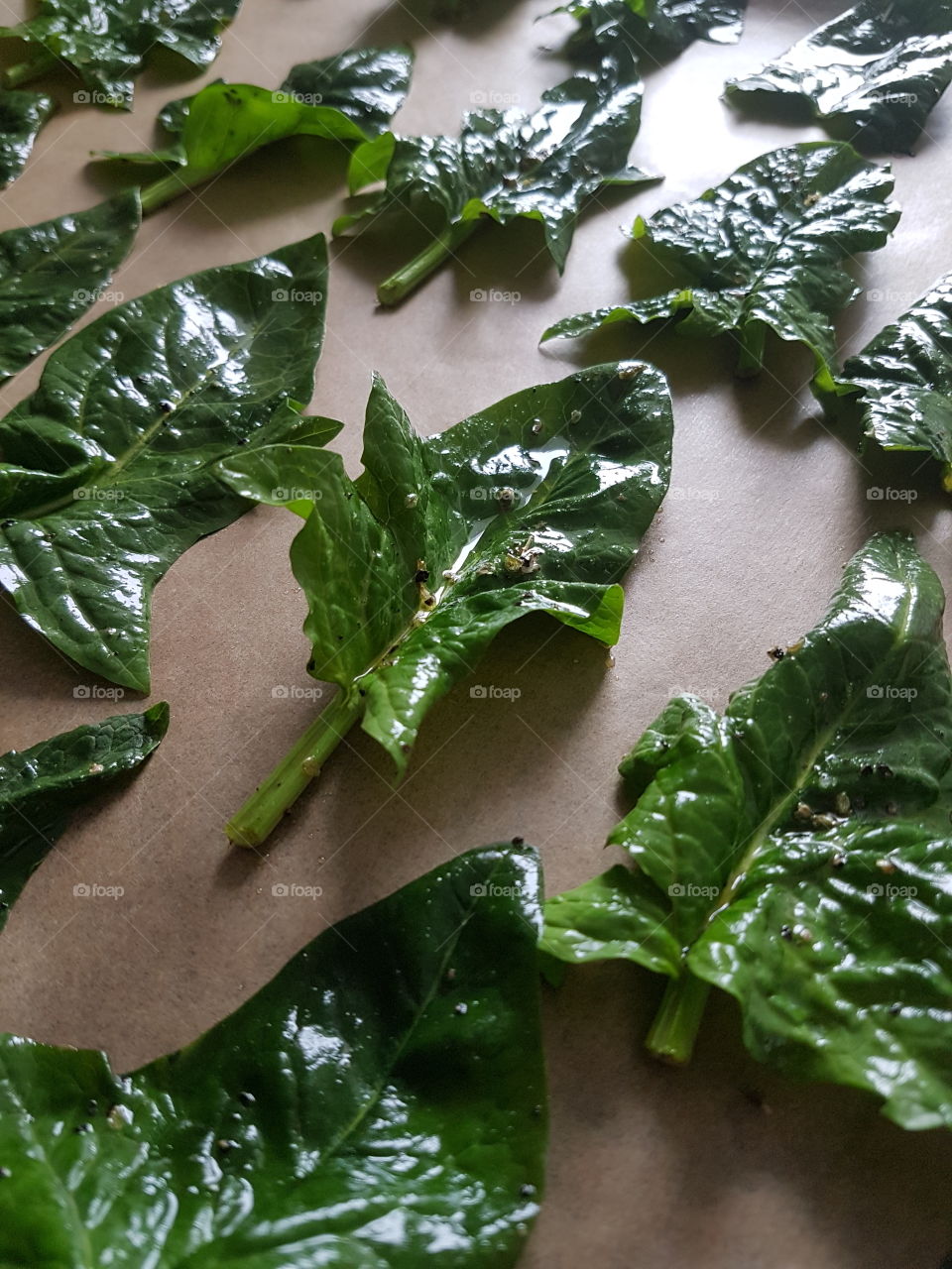 Spinach leaves with seasons, ready to to go to the oven.