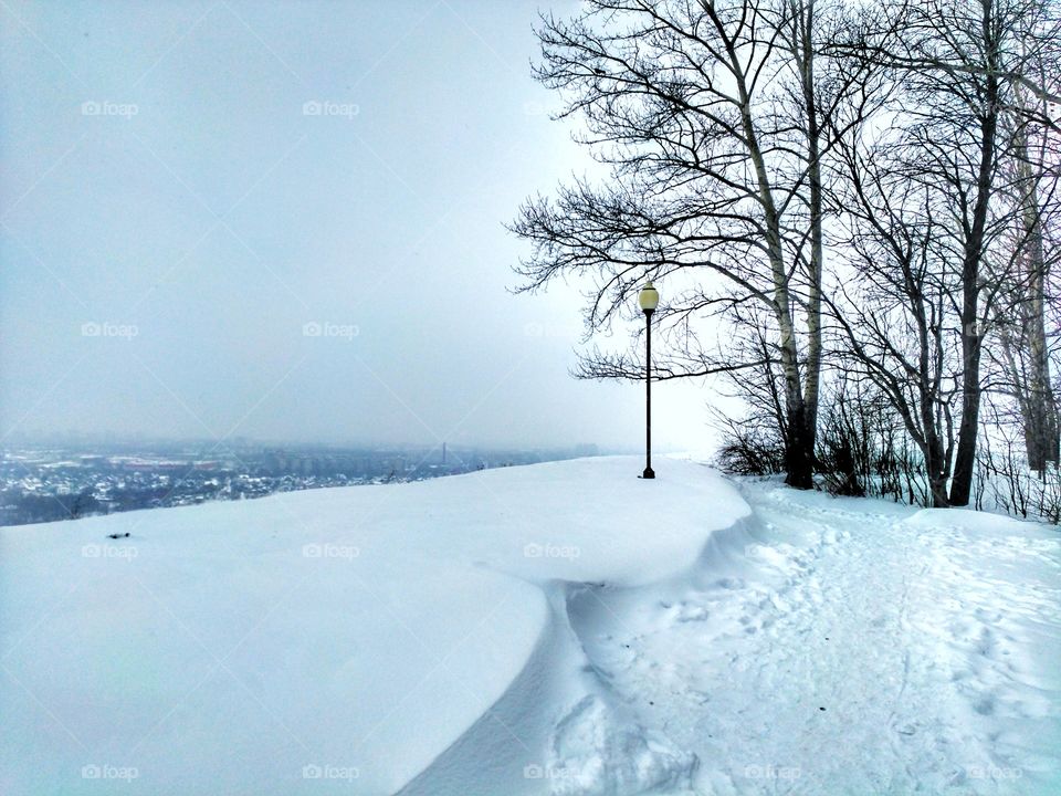 winter landscape