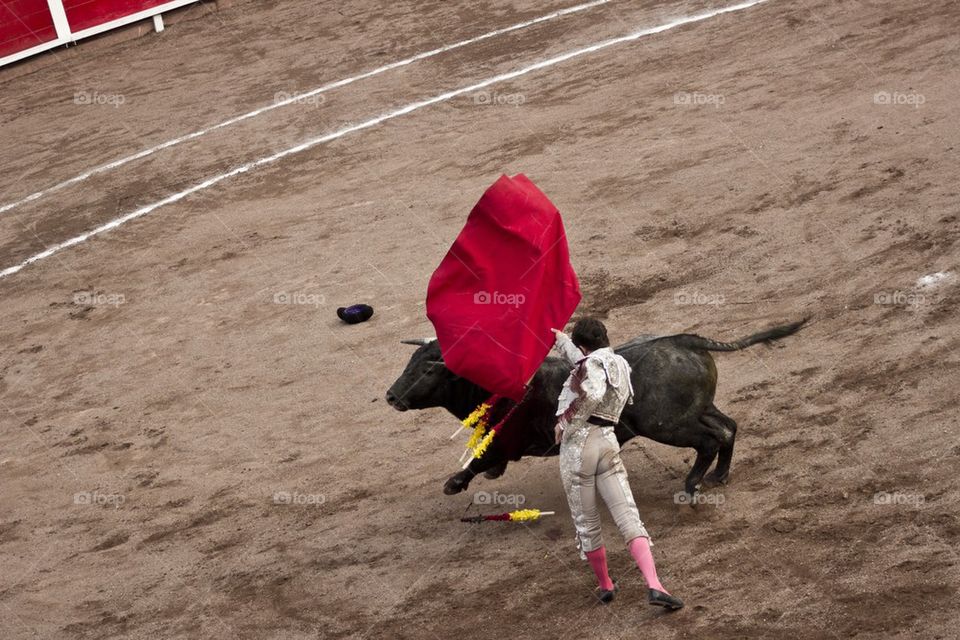 bullfighter