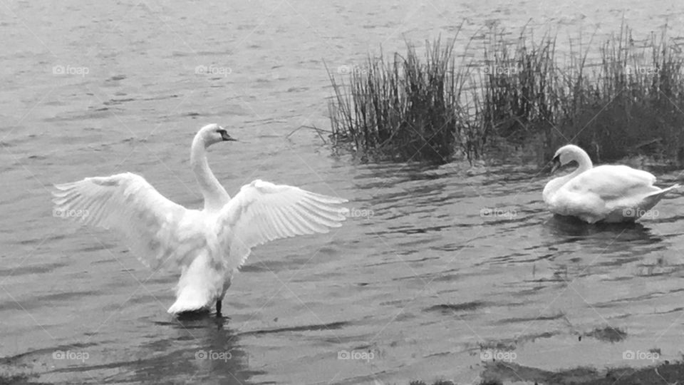 I know you have been a couple of times around the block, still though pal this turf carries my name in capital letters.