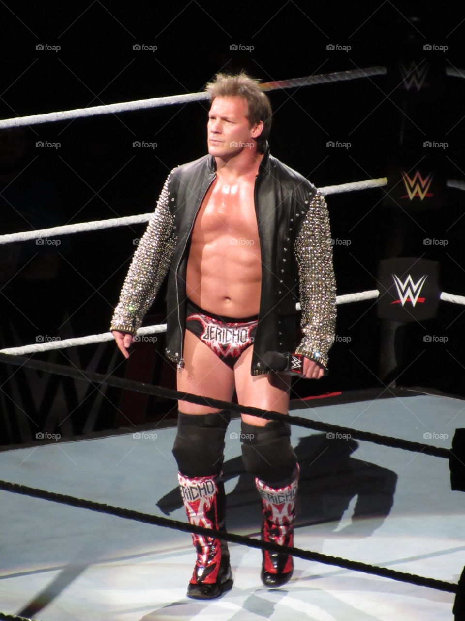 Chris Jericho at a WWE show in Buffalo