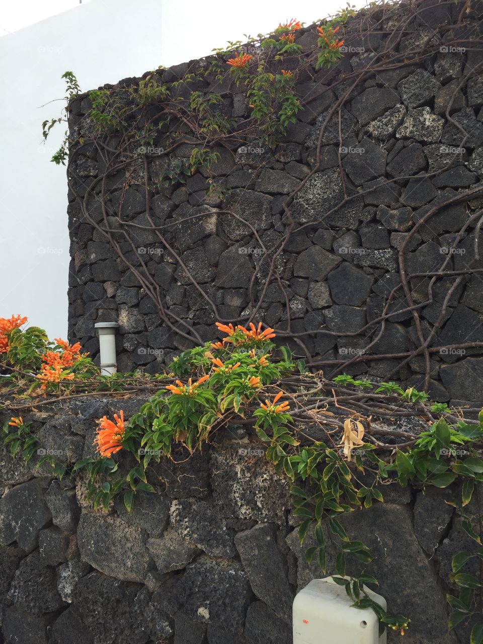 Islas Canarias Lanzarote 