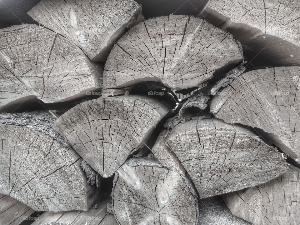 background and texture from wood