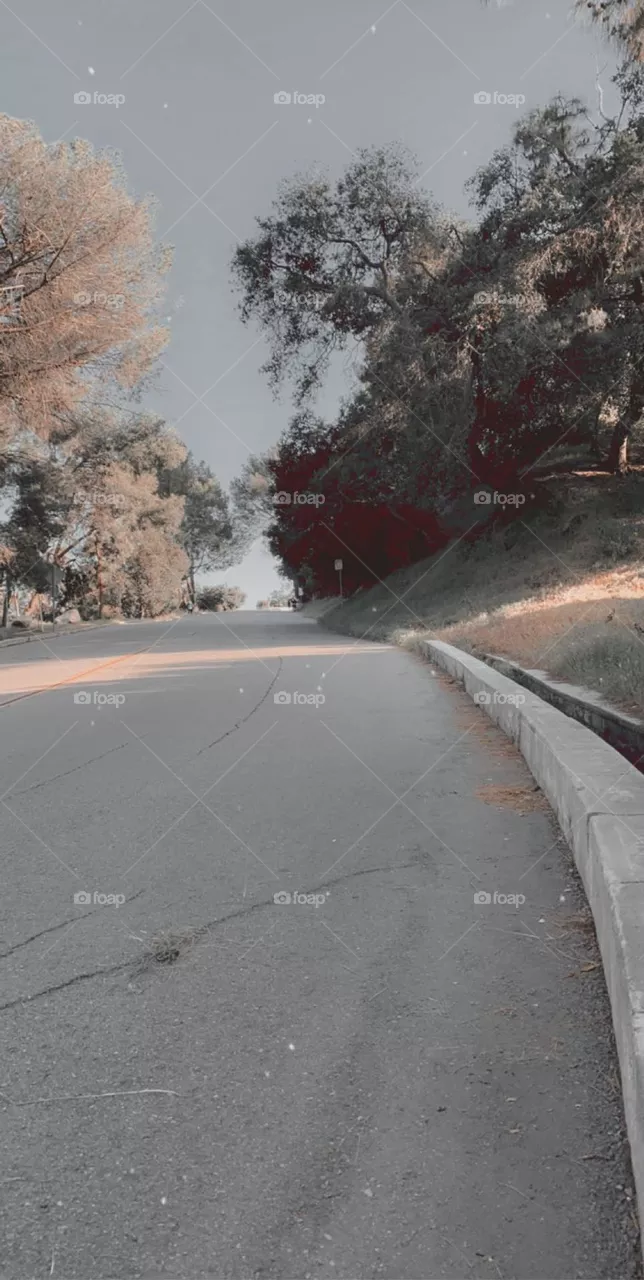 Hiking in Griffith park