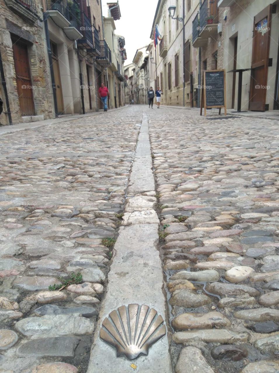 on the Camino Frances