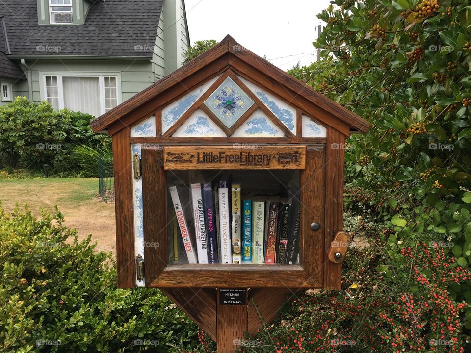 Little free library, Mount Vernon, WA