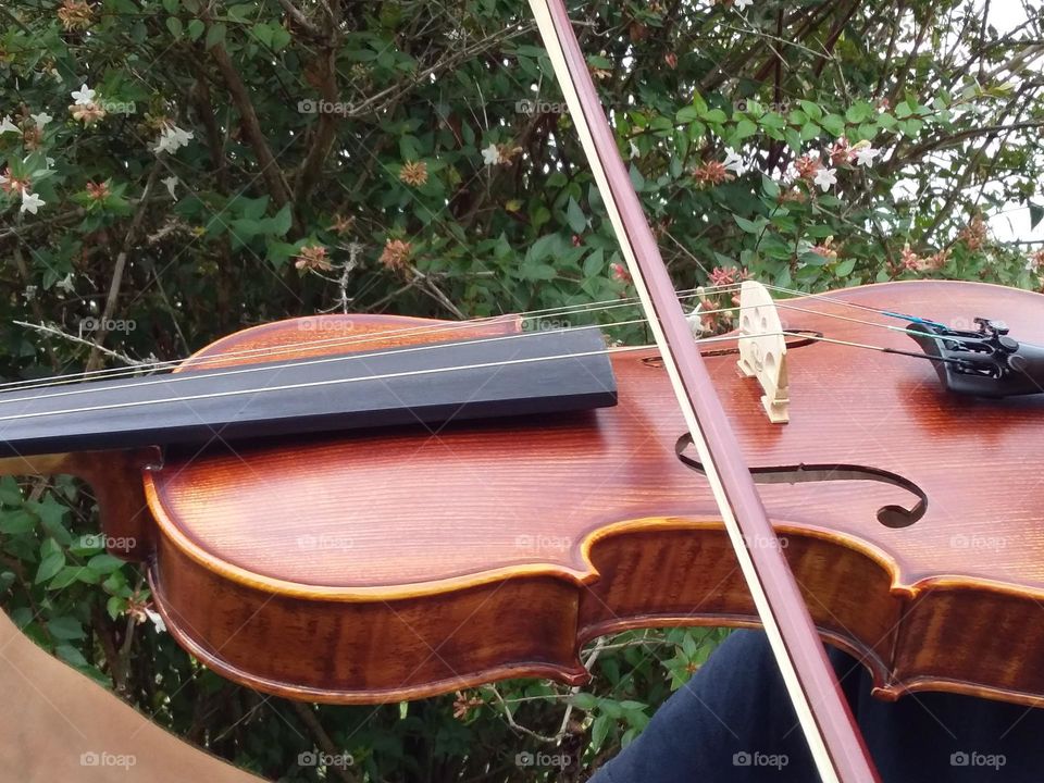 playing a violin in the garden