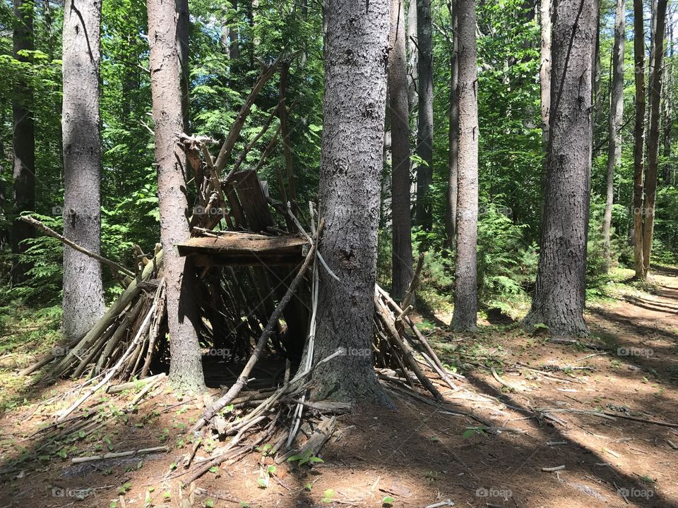 Shelter in the woods