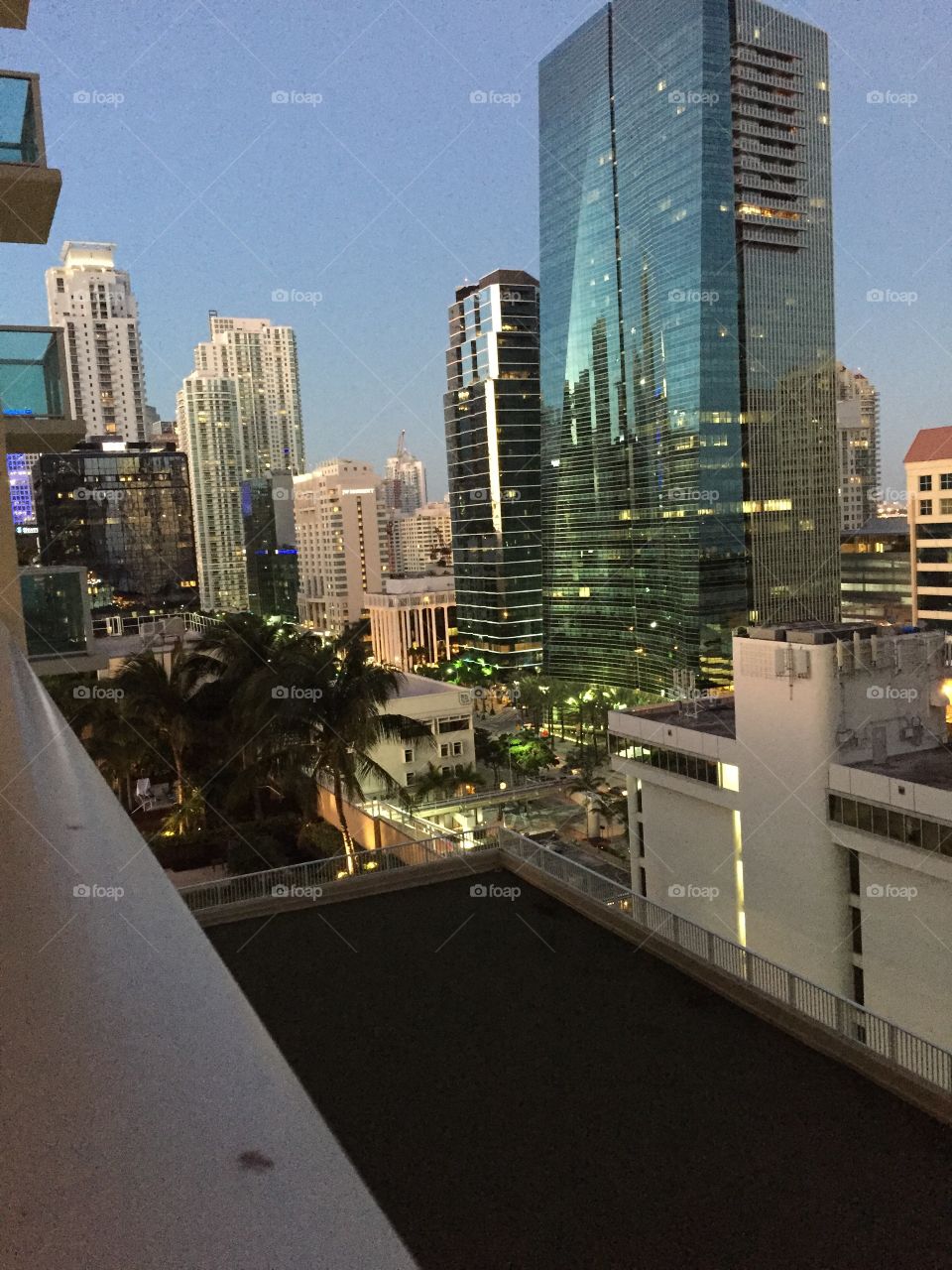 Miami views