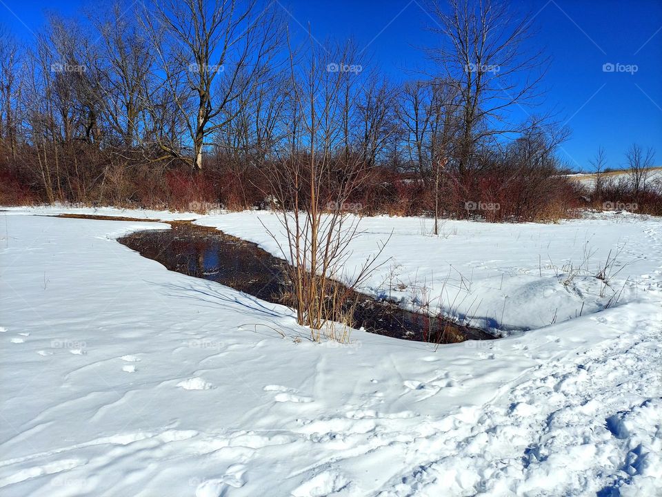 Winter Landscape