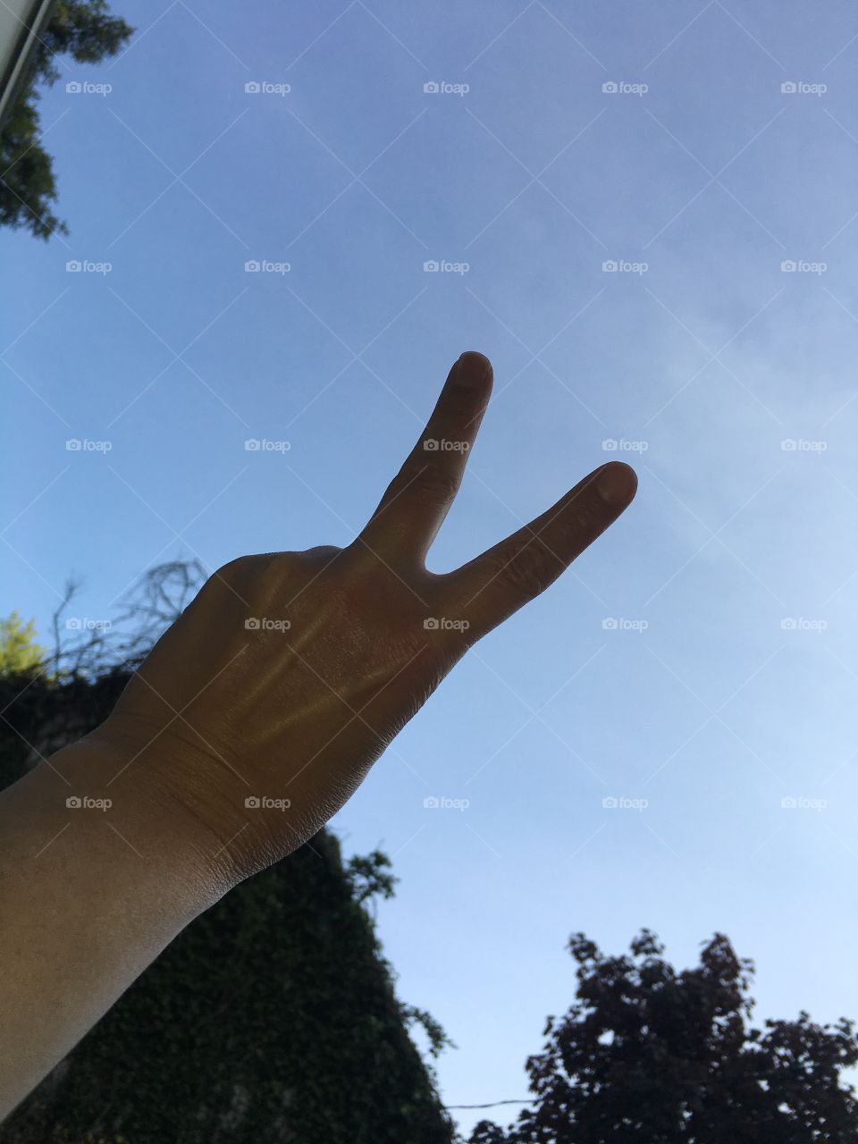 Peace from Ohio! Looking up! 